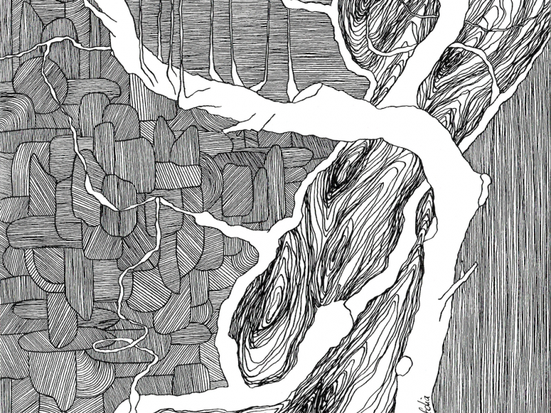 LES ARBRES RELATIONNELS