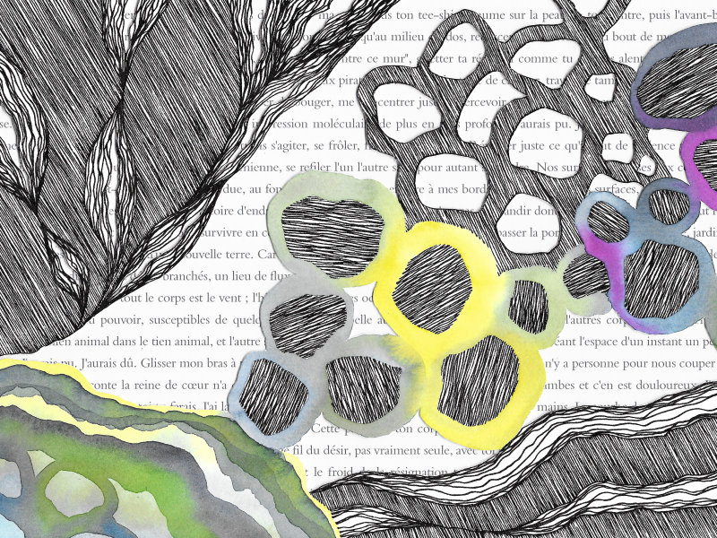 DE LA LITTÉRATURE SUR LES MURS