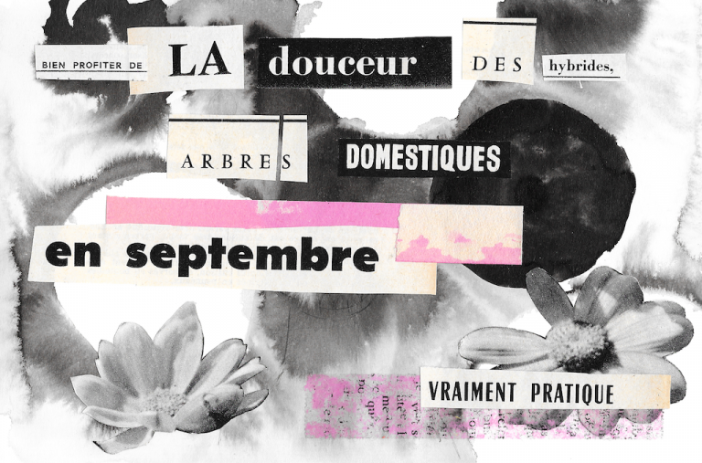 RECOLLER LES MORCEAUX