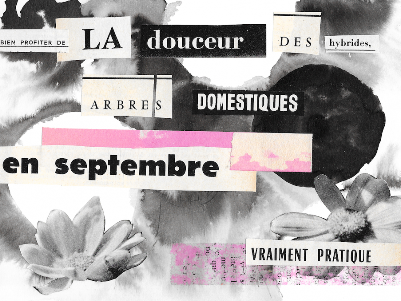 RECOLLER LES MORCEAUX